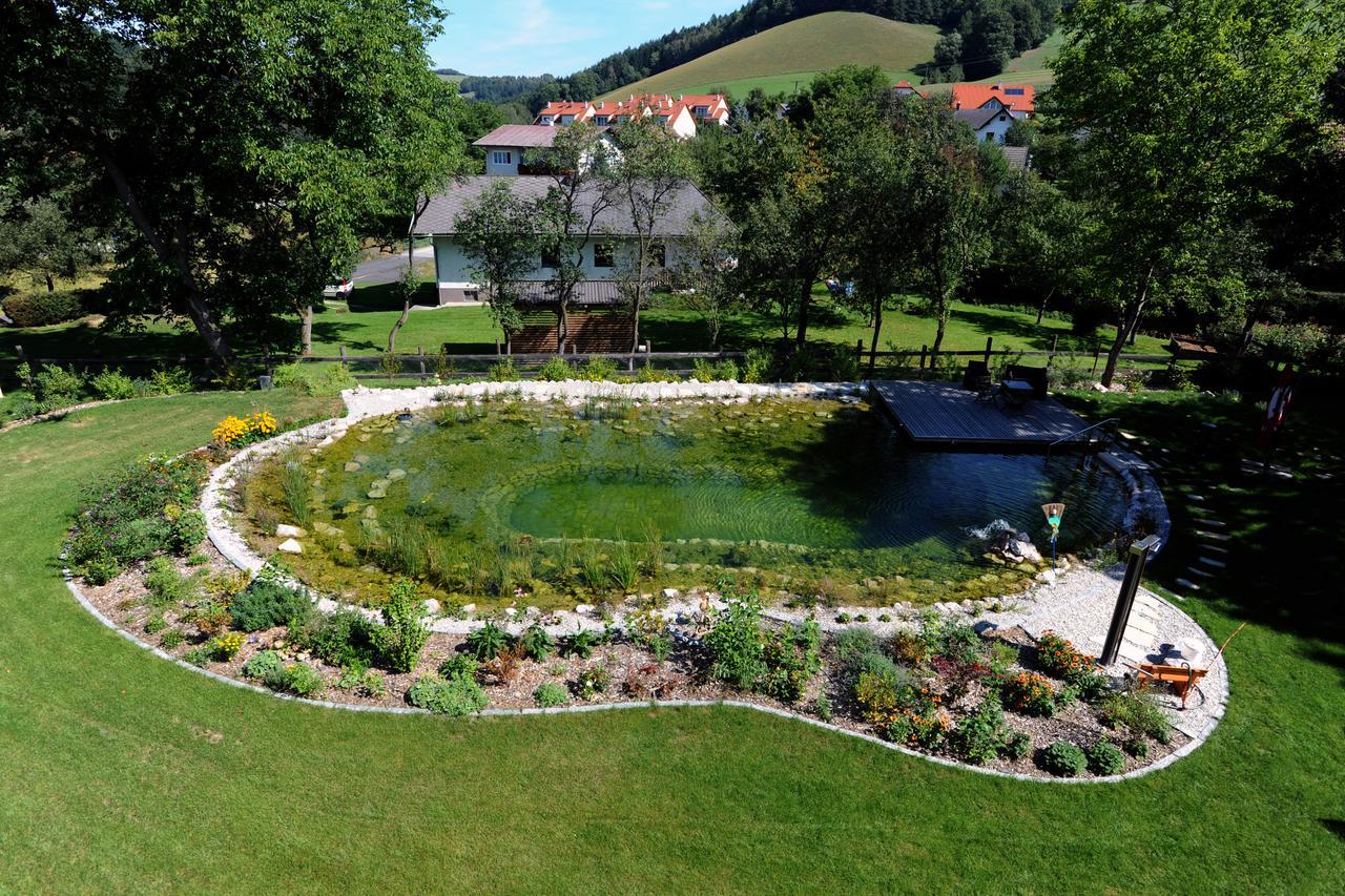 Hotel Geier Bad Schönau Dış mekan fotoğraf